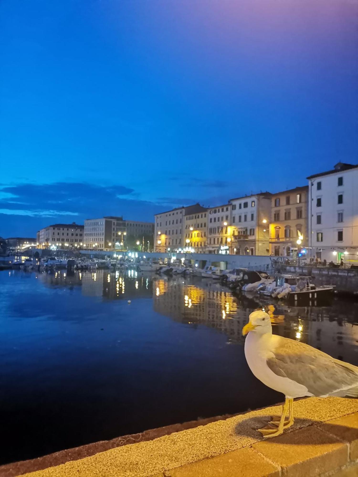 Residenza Vittoria Livorno Apartment Exterior foto